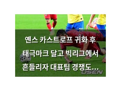 옌스 카스트로프 귀화 후 태극마크 달고 빅리그에서 흔들리자 대표팀 경쟁도 바뀌나