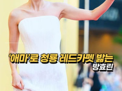 청룡시리즈어워즈 레드카펫에서 화제된 배우들