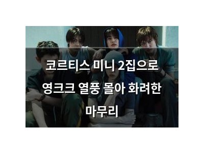 코르티스 미니 2집으로 영크크 열풍 몰아 화려한 마무리