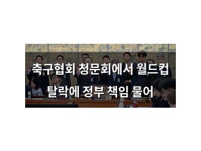 축구협회 청문회에서 월드컵 탈락에 정부 책임 물어