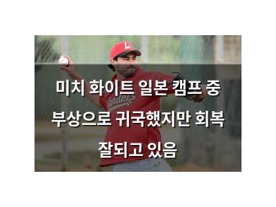 미치 화이트 일본 캠프 중 부상으로 귀국했지만 회복 잘되고 있음