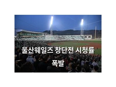 울산웨일즈 창단전 시청률 폭발