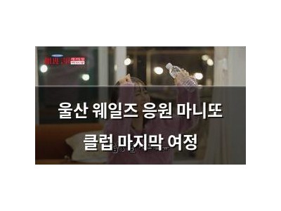 울산 웨일즈 응원 마니또 클럽 마지막 여정